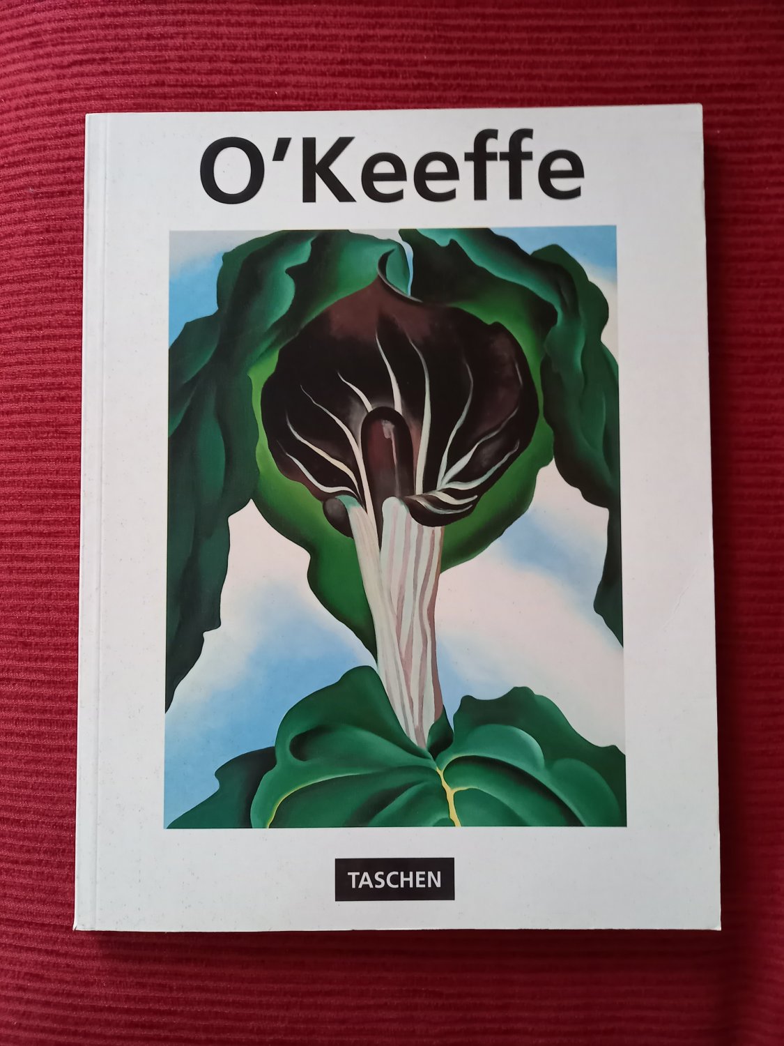 O'Keeffe“ (Britta Benke) – Buch gebraucht kaufen – A02ChIcS01ZZE